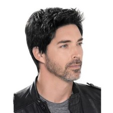 Men's Wig Short Straight Synthetic Wig Hair Fleeciness Realistic Natural Toupee`