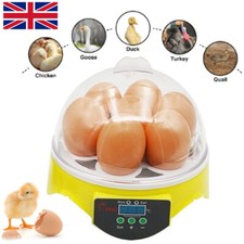 Eggs incubator automatic - eggs,