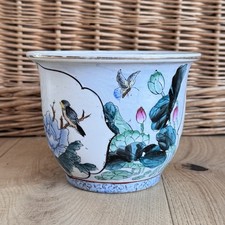 Vitage Chinese Indoor Plant