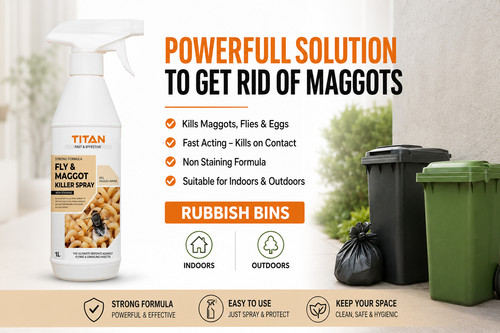 Powerful maggot killer - powerful,