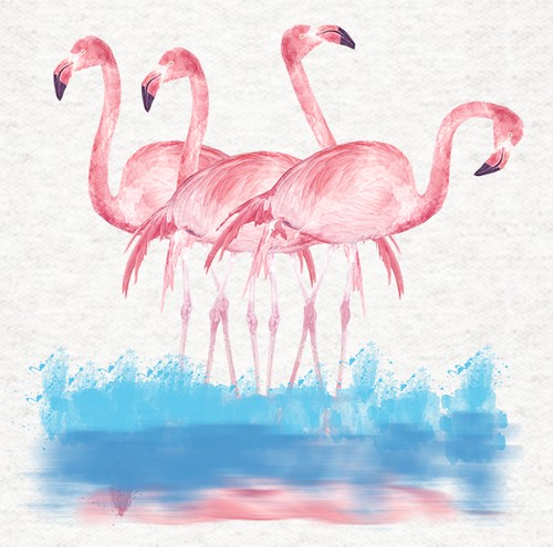 Flamingo quad flamingos - flamingo-, flamingos-
