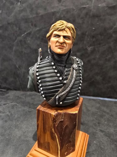Sharpe napoleonic 95th riles - 95th,