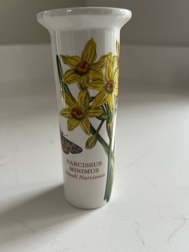 Vintage portmeirion botanic - vintage,