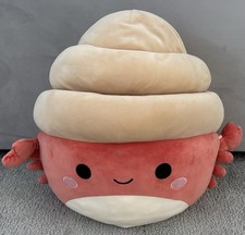 Indie The Hermit Crab