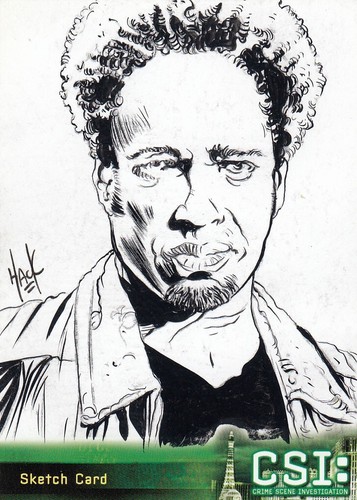 Csi las vegas series - series, robert