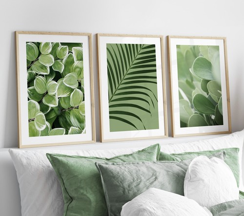 Set sage green botanical - set, 3
