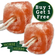 Salt Licks 2x - Animals Salt