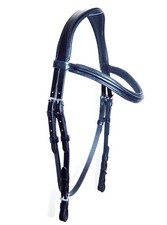 Anatomical Headpiece MonoCrown