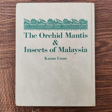 The Orchid Mantis Insect Photo