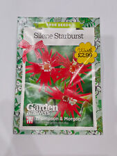 SILENE Starburst BRIGHT RED 15 Seeds Thompson Morgan Hardy Perennial