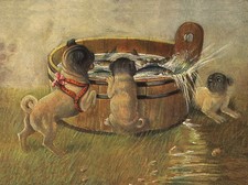 PUG CHARMING DOG GREETINGS