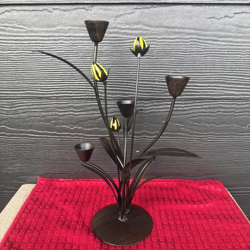 Yellow and black - calla, lily