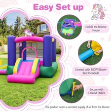 Indoor Outdoor Blow up Bouncer