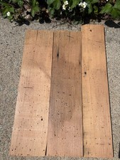 3 Antique WORMY AMERICAN