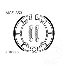 TRW Brake Shoes inc Springs