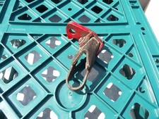 honda xl 125 r l/h front peg (1985)