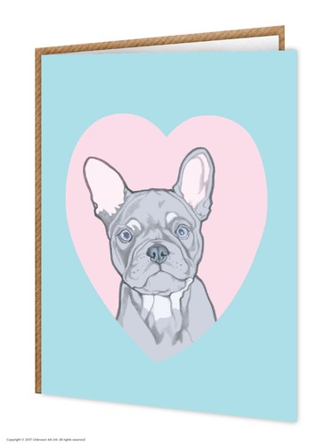 French bulldog dog - french, /