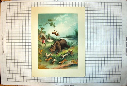 Antique old print african - antique,