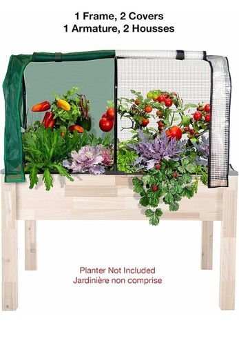 Cedar craft greenhouse bug - craft,