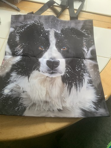 sheepdog