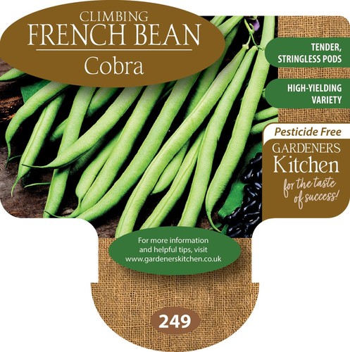 Climbing french bean plants - french,