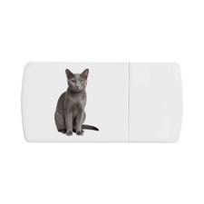 'Korat Cat' Pill Box with