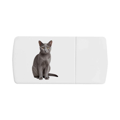 Korat cat pill box with - cat',