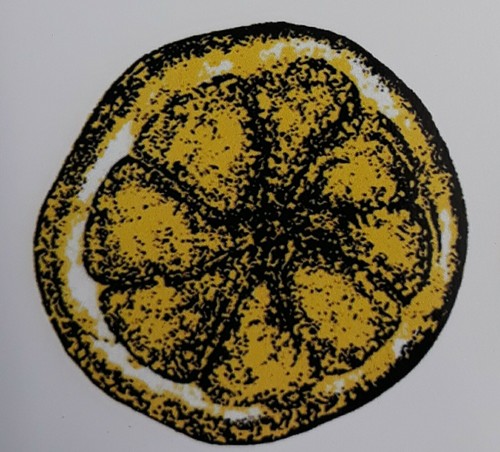 Stone rose lemon sticker car - stone,