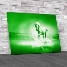 Captivating Horse In Water