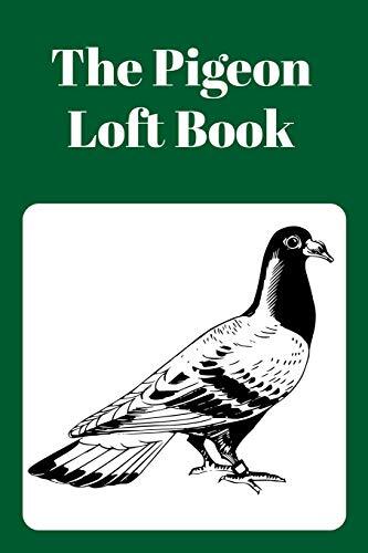 The pigeon loft - pigeon,