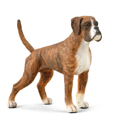 Collecta boxer - collecta,
