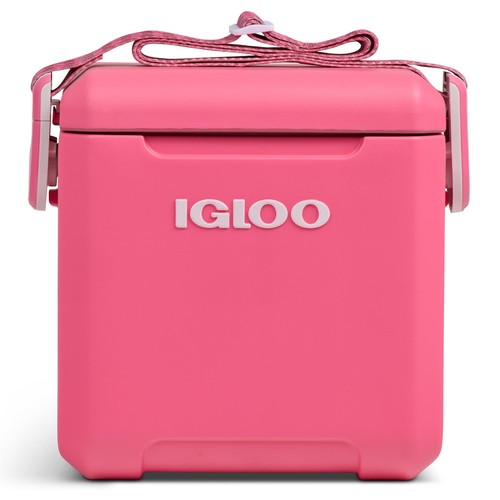 Igloo cooler tag along - igloo, too