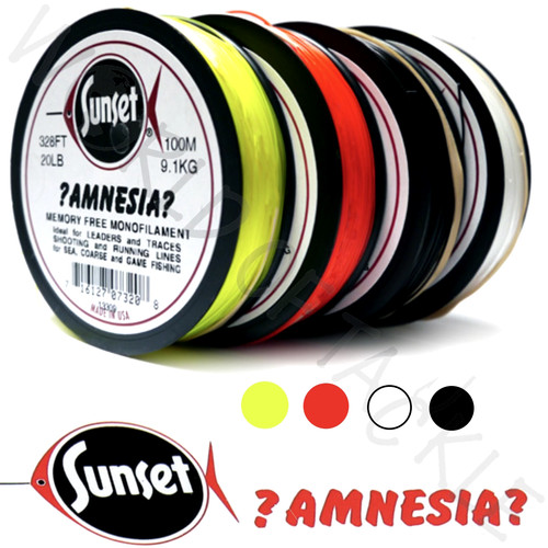 Amnesia fishing line - amnesia, memory
