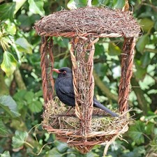 2 x Simon King Garden Open