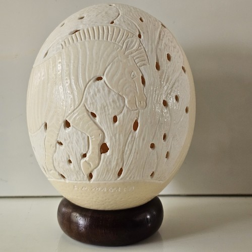 African natural ostrich egg - african,