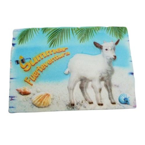 Fuerteventura souvenir fridge - fuerteventura,