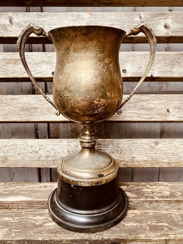 Silver trophy - silver, 12”
