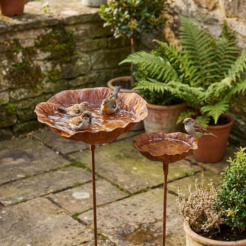 Rusted iron bird bath - bath,
