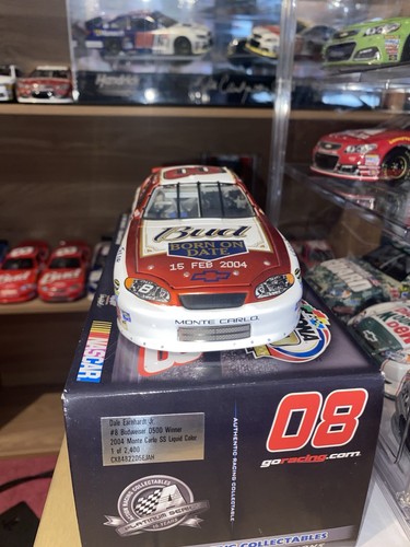 Nascar dale 8 2004 - 1/24, jr
