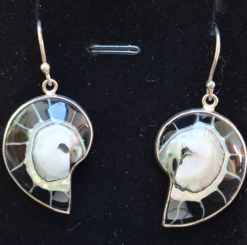Vintage silver nautilus - , shell