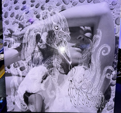 Björk vespertine 2 - –, 2×lp