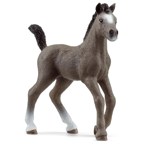French saddle horse foal - saddle,