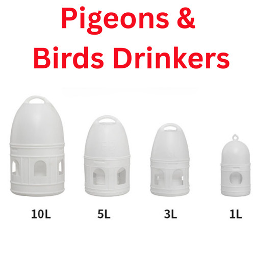 Pigeon drinkers dispenser - dispenser, bird