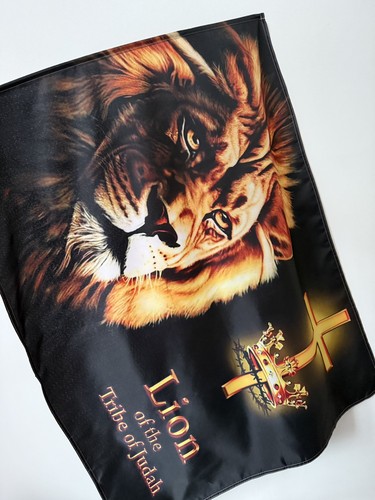 Lion the tribe judah - the,