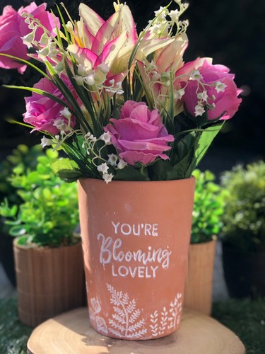 Terracotta plant pot you - pot, you're