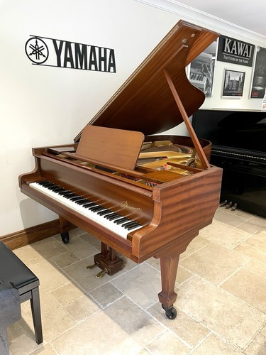 Danemann 8ft mini - 6.8ft,