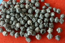 Games Workshop Heads Multi List Warhammer 40k Age of Sigmar Chaos Daemons Old GW