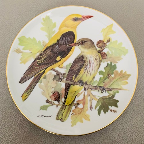 Vintage 1986 wwf birds - vintage,