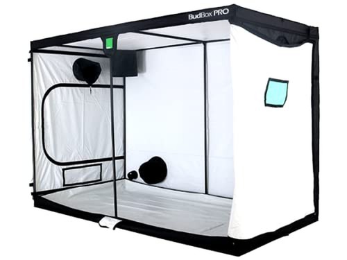 Budbox pro series - pro, white