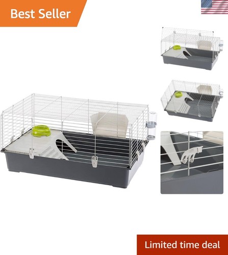 Stylish indoor small - stylish, animal